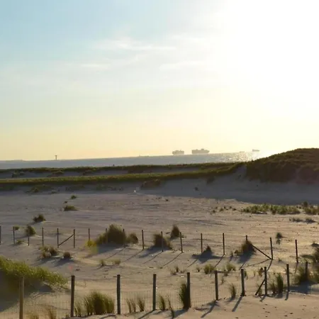 In Netherlands With Dune Garden Holiday home *